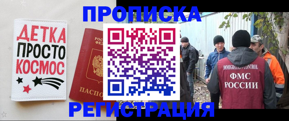 прописка поиск в Купино